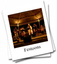 Photo of the Festoon Band